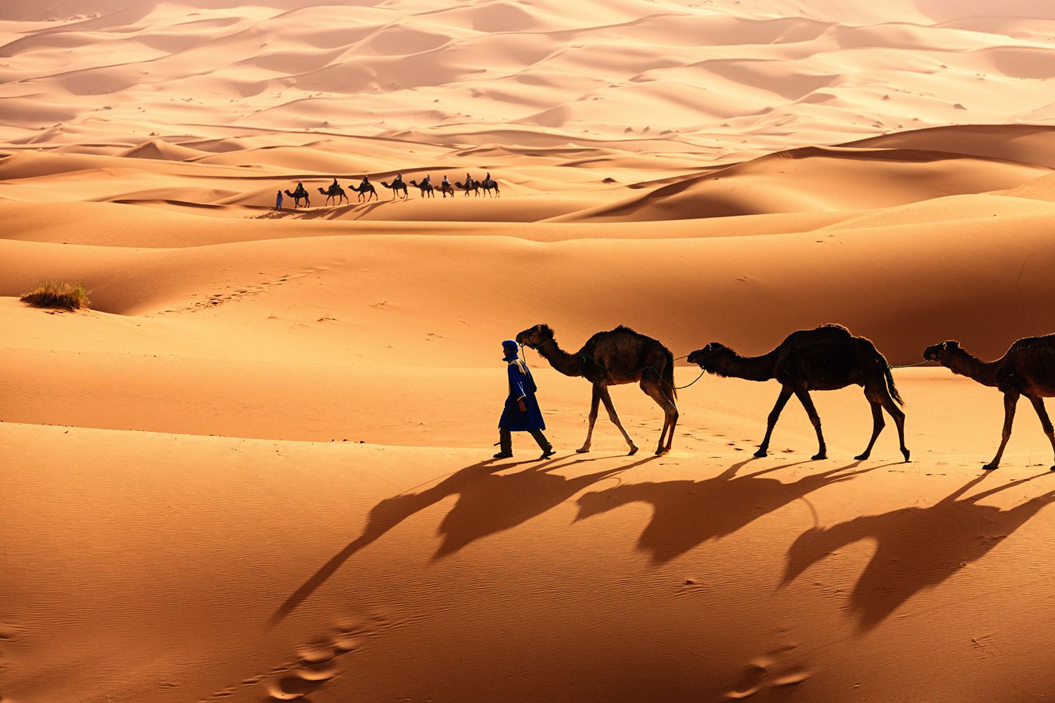 Fez-to-Sahara-Desert-tour