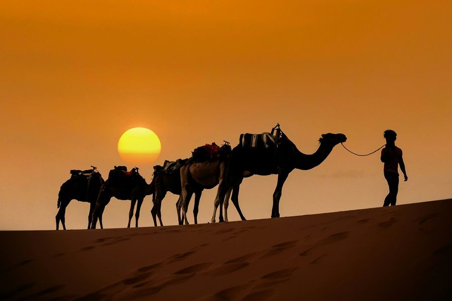 4 Day Desert Sahara