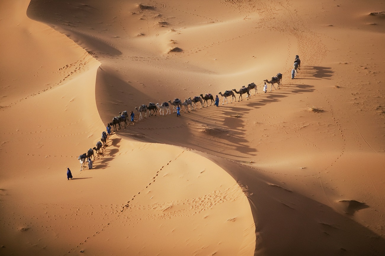 The Desert Dream Tour — 6 Days