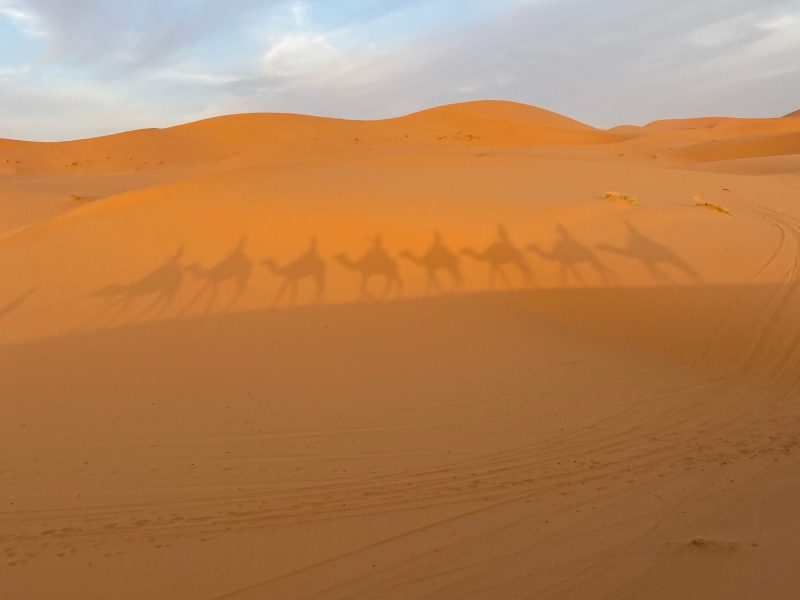 Shadows of a camel caravan on the dunes near Merzouga